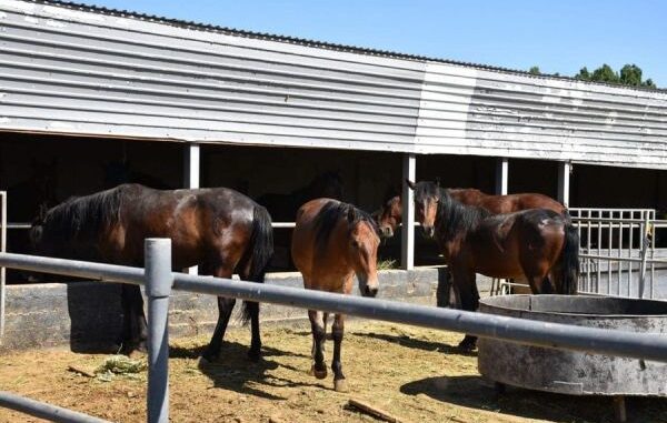 a3614e124fb0dc2f1795684e658b9fa9_M