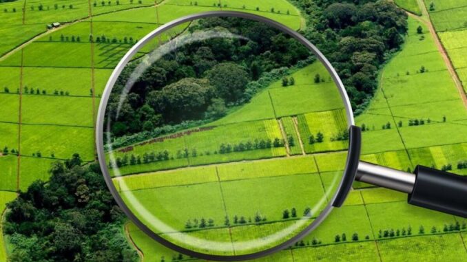 62f47f52b1780788392487