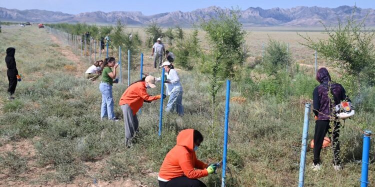 СОЗАҚТА ЭКОЛОГИЯЛЫҚ АКЦИЯ АЯСЫНДА КЕҢ КӨЛЕМДІ ТАЗАЛЫҚ ЖҰМЫСТАРЫ ЖҮРГІЗІЛДІ