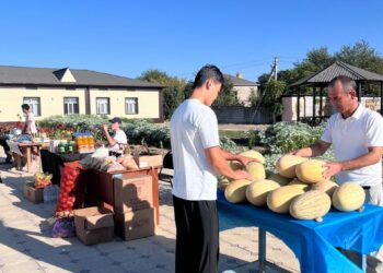 МАҚТААРАЛДА ҚОЛЖЕТІМДІ БАҒАДА АУЫЛ ШАРУАШЫЛЫҒЫ ЖӘРМЕҢКЕСІ ӨТТІ