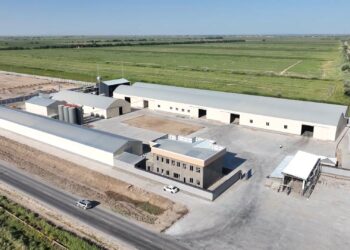 МАҚТААРАЛДА МАҚТА МАЙЫН ӨҢДЕЙТІН ЖАҢА ЗАУЫТ ІСКЕ ҚОСЫЛАДЫ