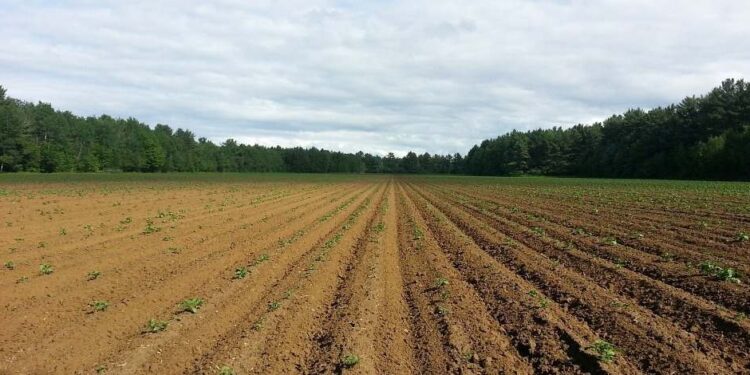 МАҚТААРАЛДА ЖЕРДІ ТИІМДІ ПАЙДАЛАНУДЫҢ ЖАҢА ТӘСІЛДЕРІ